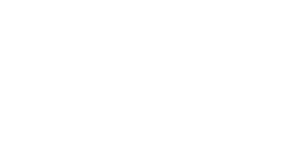 Azzurro Final Mile Logistics