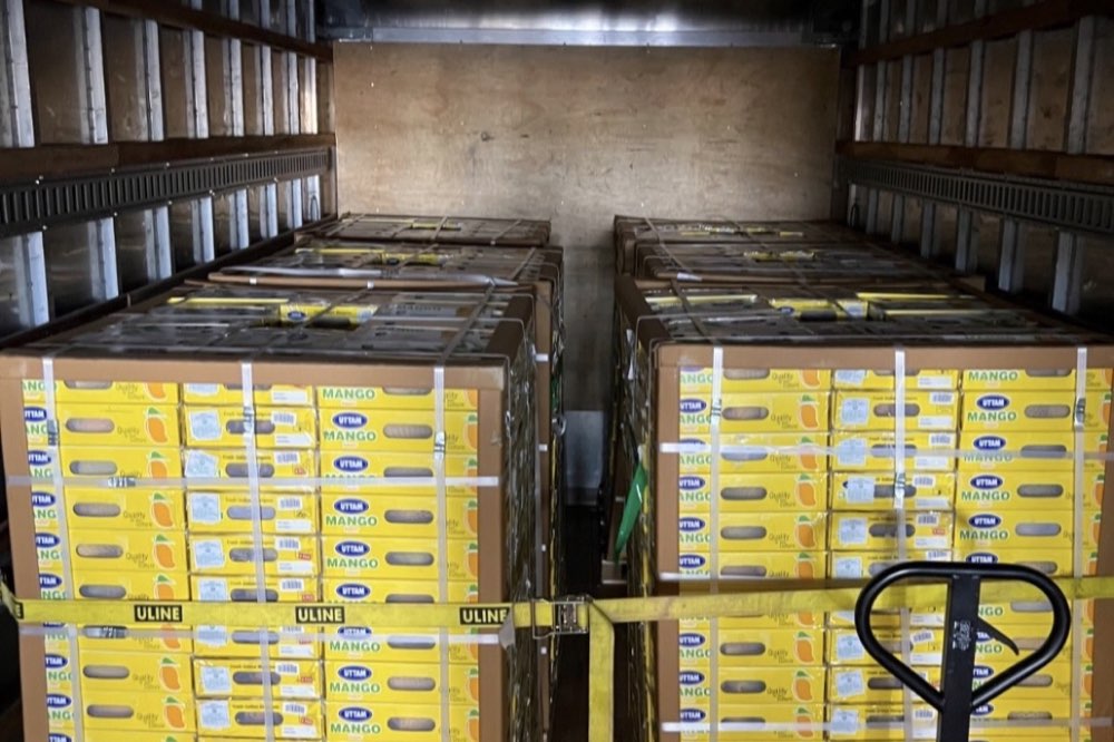 Palletized mango cartons secured inside a delivery truck